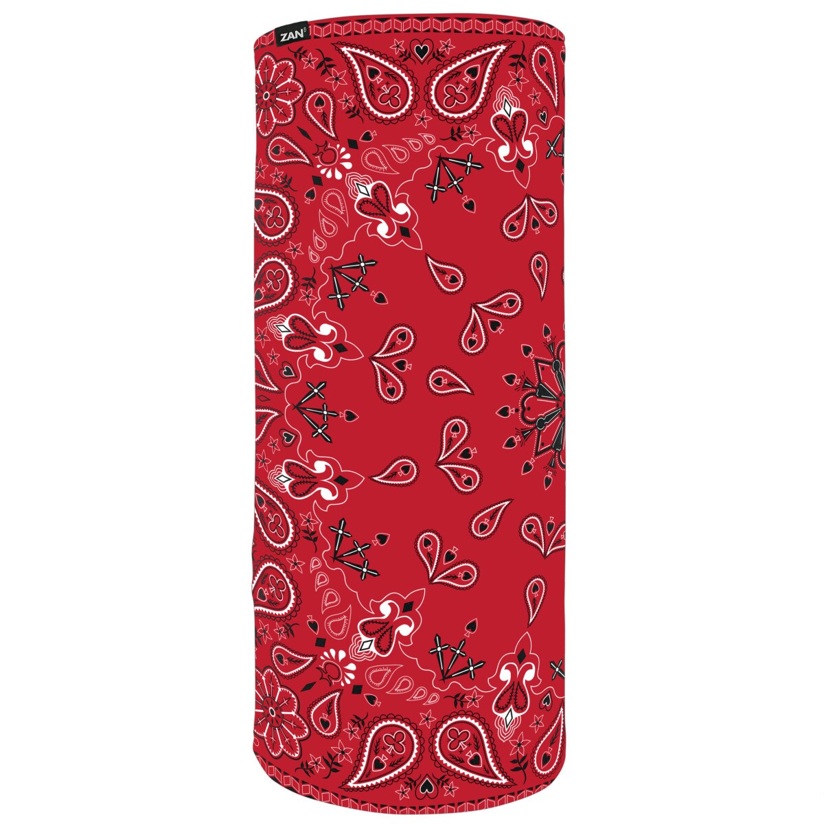 Motley Tube | Red Paisley