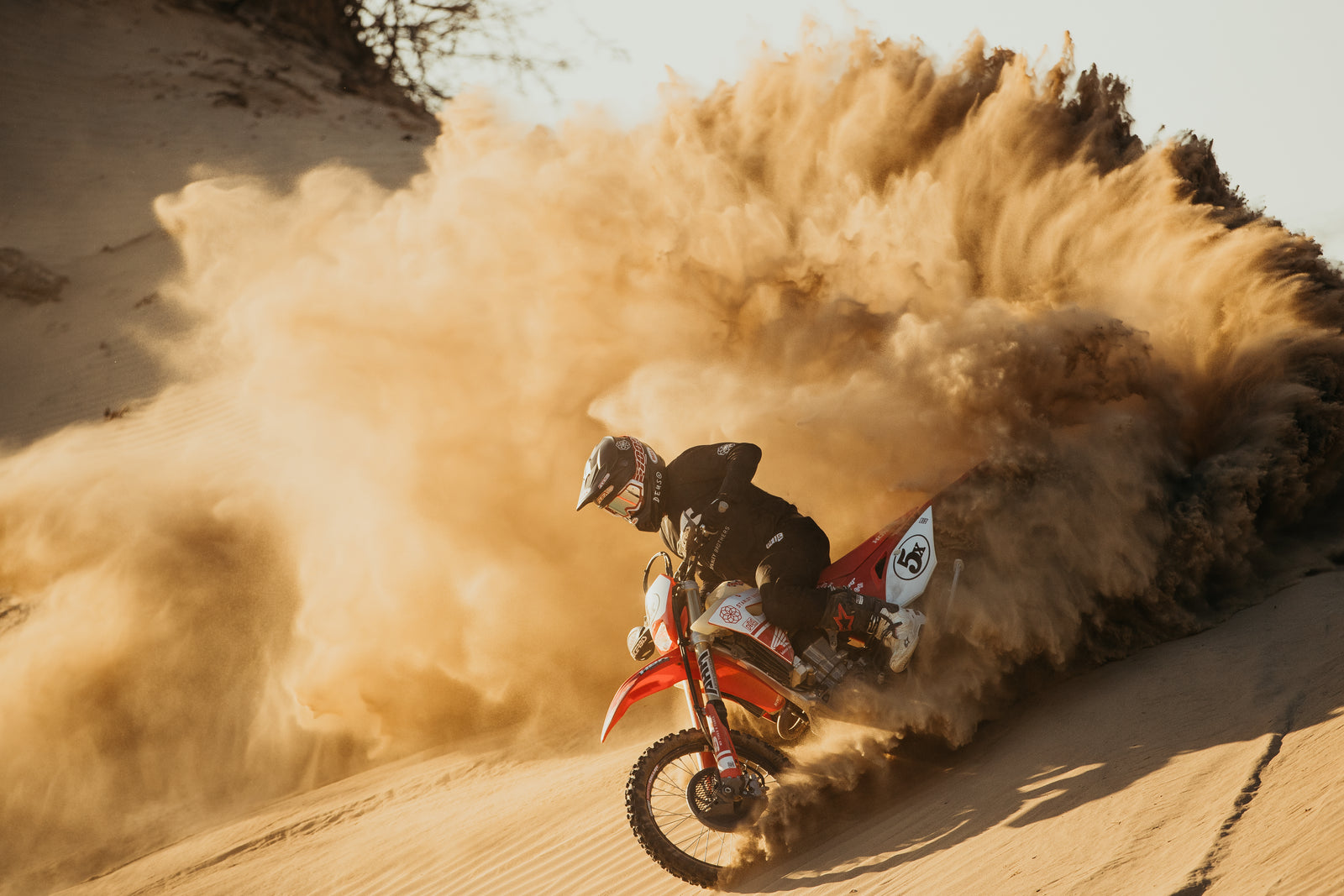 The Desert Said Dance